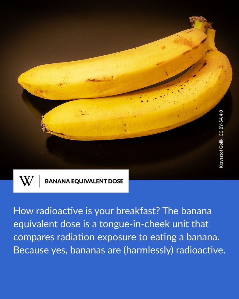 Two ripe yellow bananas resting side by side on a reflective black surface. Text says: How radioactive is your breakfast? The banana equivalent dose is a tongue-in-cheek unit that compares radiation exposure to eating a banana. Because yes, bananas are (harmlessly) radioactive.