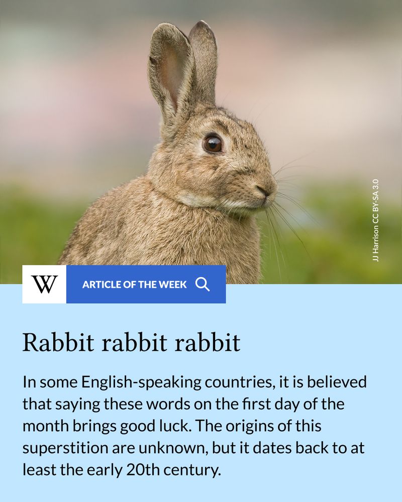 Article of the Week: Rabbit rabbit rabbit. In some English-speaking countries, it is believed that saying these words on the first day of the month brings good luck. The origins of this superstition are unknown, but it dates back to at least the early 20th century. Image depicts a brown rabbit sitting upright on green grass, alert with ears raised and eyes wide open. 