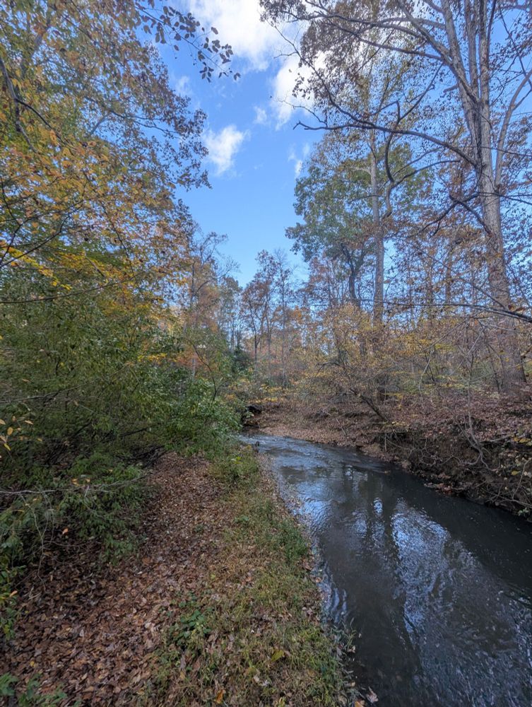 Yet another fall pic of that same creek spot