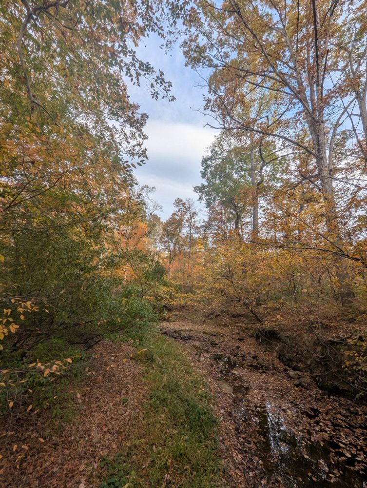 Fall update, color are getting to be kapow/swoosh levels 