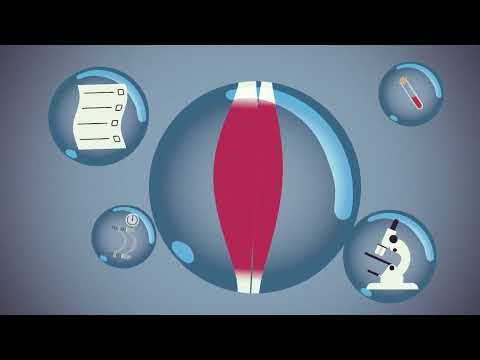 Why research is trying to MUSCLE IN on ageing