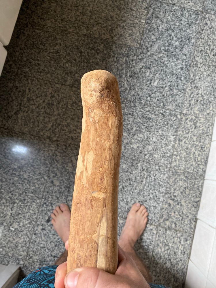 A man holding a large wood stick made of Jabuticaba Tree