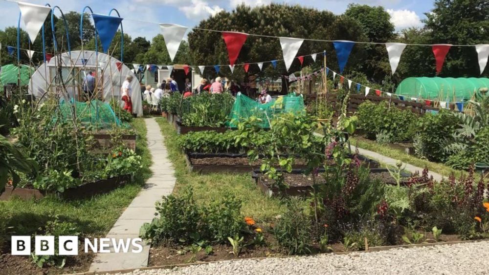 Allotment holders wanted in Grimsby and Cleethorpes