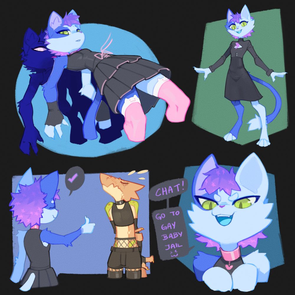 An assortment of Toby's