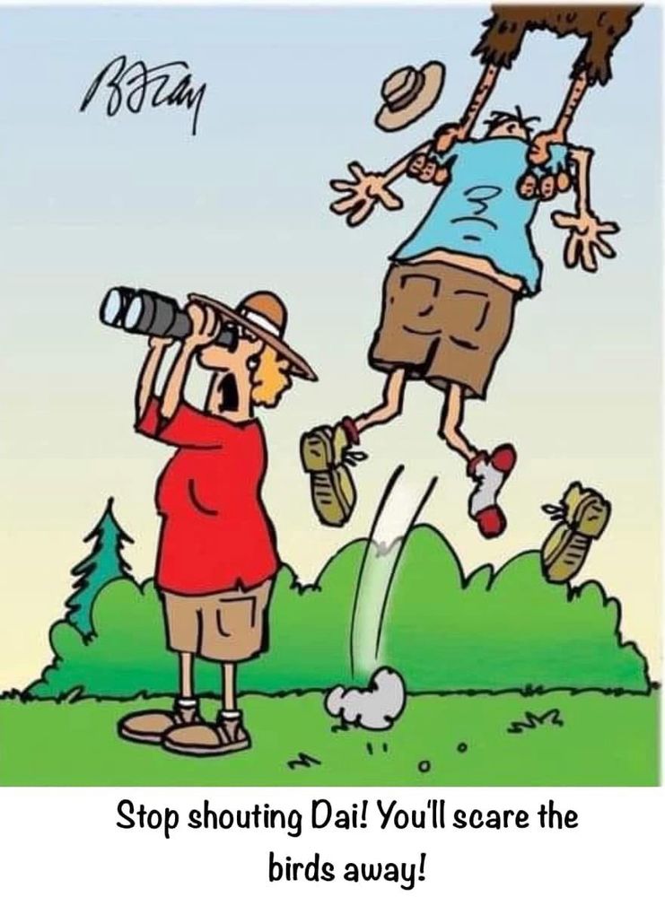 Cartoon of Gwen looking through binoculars whilst Dai is being carried away by a gigantic bird