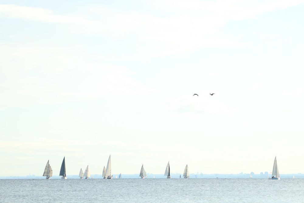 Sail boats at Hanlan's Point on Lake Ontario.