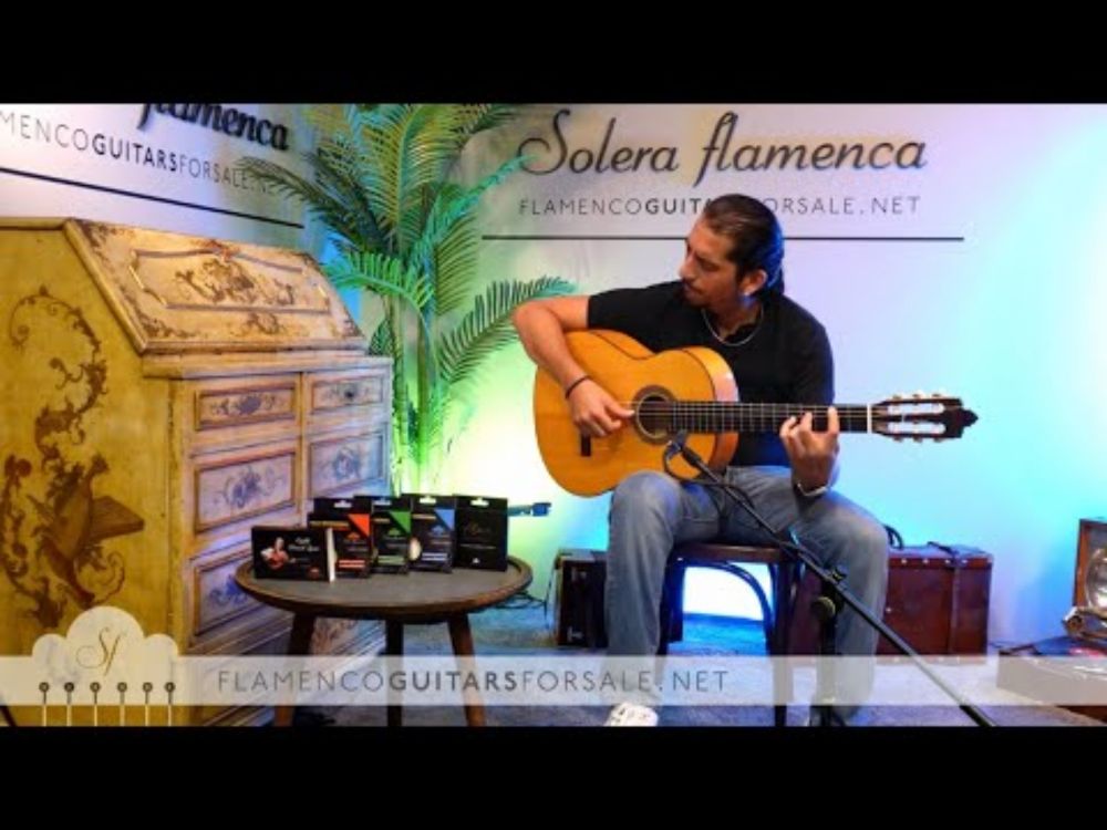 Álvaro Segura 2024  flamenco guitar for sale played by José Andrés Cortés