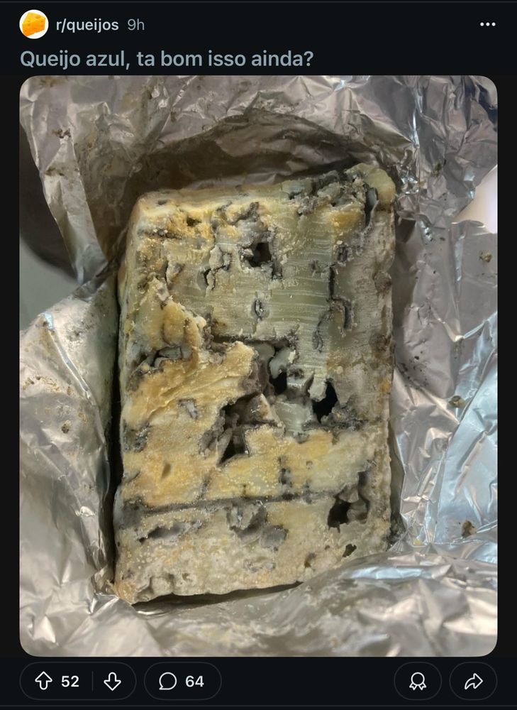 Uma foto de um queijo gorgonzola com uma cor bem esverdeada e de aparência estragada com a legenda “Queijo azul, tá bom isso ainda?”