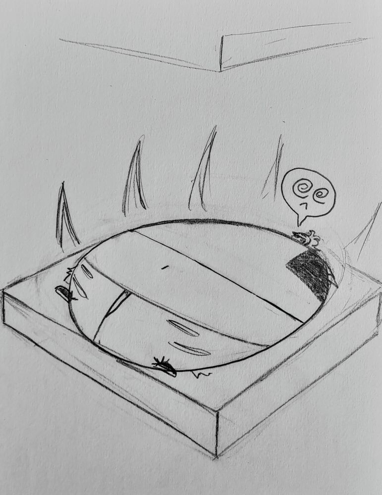 Hilda smushed, but still round, just not spherical anymore. 