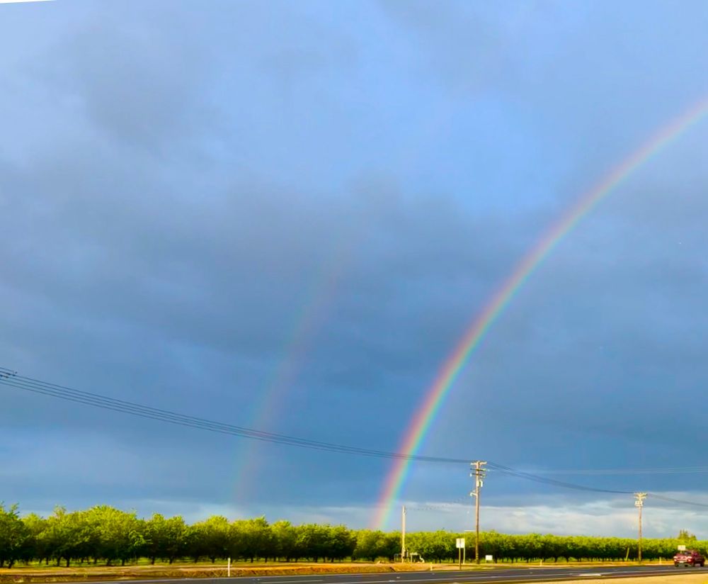 Two rainbows over almond orchards