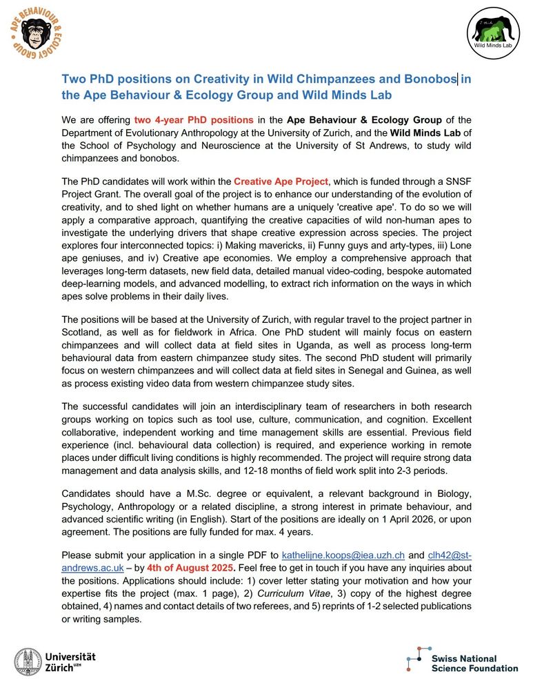 two 4-year PhD positions in the Ape Behaviour & Ecology Group of the Department of Evolutionary Anthropology at the University of Zurich, and the Wild Minds Lab of the School of Psychology and Neuroscience at the University of St Andrews, to study wild chimpanzees and bonobos.
The PhD candidates will work within the Creative Ape Project. The overall goal of the project is to enhance our understanding of the evolution of creativity, and to shed light on whether humans are a uniquely 'creative ape'. To do so we will apply a comparative approach, quantifying the creative capacities of wild non-human apes to investigate the underlying drivers that shape creative expression across species. The project explores four interconnected topics: i) Making mavericks, ii) Funny guys and arty-types, iii) Lone ape geniuses, and iv) Creative ape economies. We employ a comprehensive approach that leverages long-term datasets, new field data, detailed manual video-coding, bespoke automated deep-learning models, and advanced modelling, to extract rich information on the ways in which apes solve problems in their daily lives. 

Excellent collaborative, independent working and time management skills are essential. Previous field experience (incl. behavioural data collection) is required, and experience working in remote places under difficult living conditions is highly recommended. The project will require strong data management and data analysis skills, and 12-18 months of field work split into 2-3 periods.

Please submit your application in a single PDF to kathelijne.koops@iea.uzh.ch and clh42@st-andrews.ac.uk – by 4th of August 2025. Feel free to get in touch if you have any inquiries about the positions. Applications should include: 1) cover letter stating your motivation and how your expertise fits the project (max. 1 page), 2) Curriculum Vitae, 3) copy of the highest degree obtained, 4) names and contact details of two referees, and 5) reprints of 1-2 selected publications