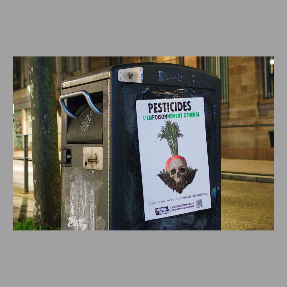 Photo d'une poubelle avec une affiche de la campagne XR Changement de régime. On peut notamment y lire "Pesticides, l'empoisonnement général". 