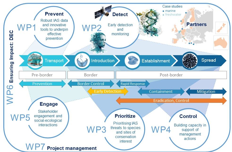 The structure of the GuardIAS project in Work Packages linked to the stages of the invasion process.