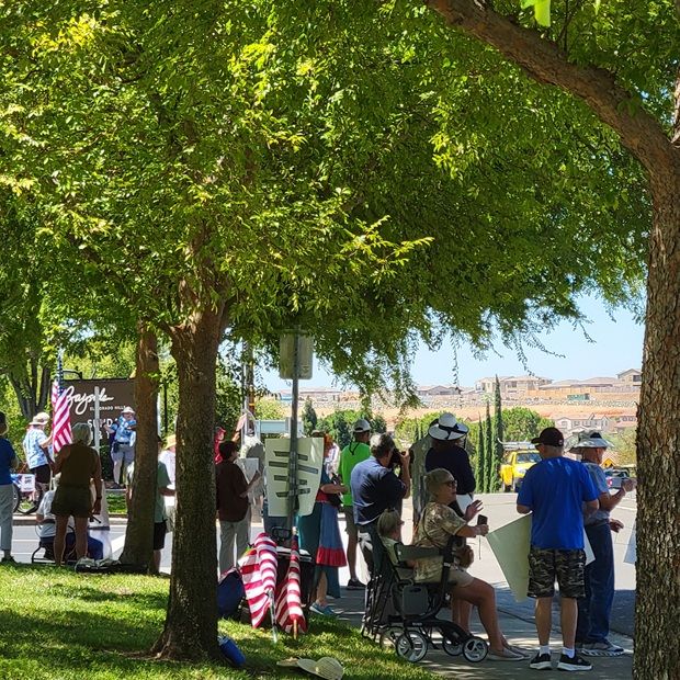 Group of people gathering together under shade trees, with American Flags and other pro-democracy signs.