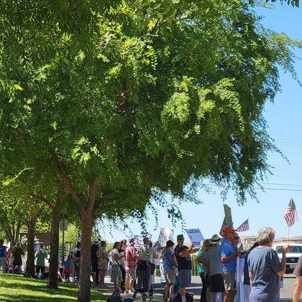 Group of people gathering together along the sidewalk, under shade trees, waving American Flags and other pro-democracy signs.