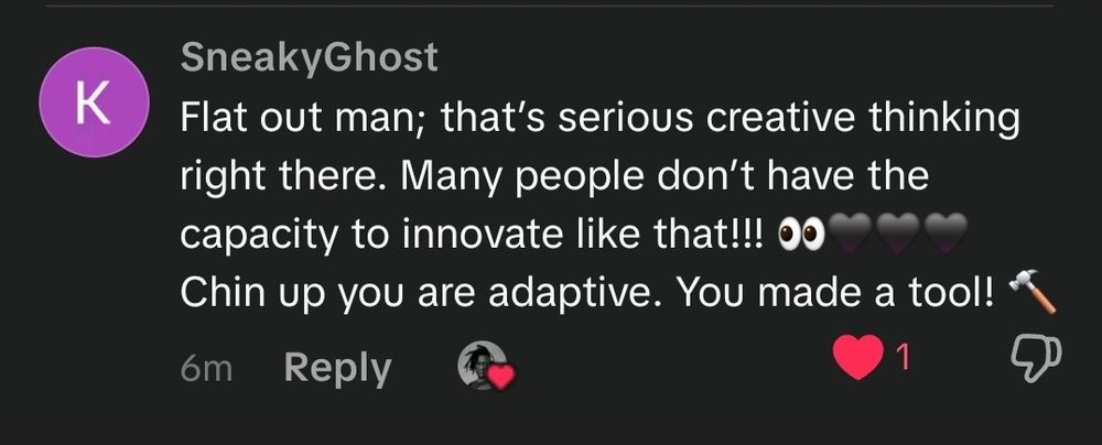 A screenshot of a tiktok comment 