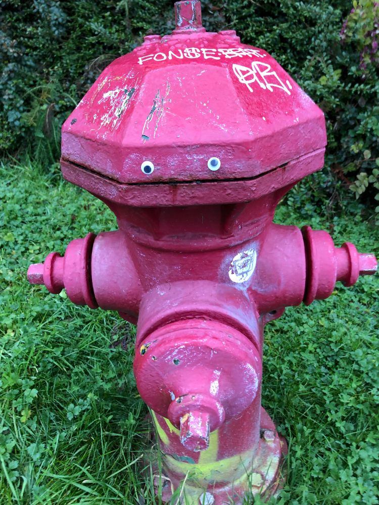 A very friendly looking fire hydrant painted magenta, with googly eyes above a seam so it appears to be smiling at you (because it is)