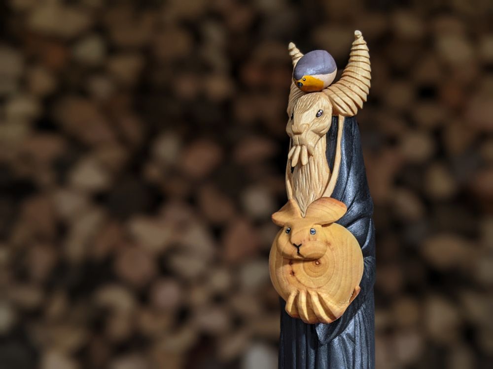 Vu rapprochée de 3/4. On dirait qu'il veut vraiment qu'on voit son lapin.