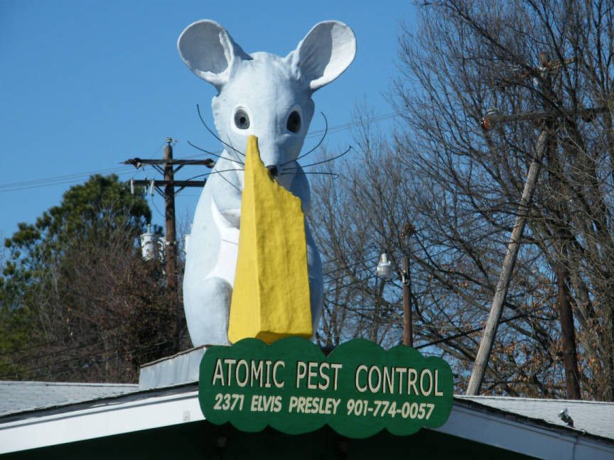 Shop front with large novelty mouse and cheese sculpture on roof of Atomic Pest Control 