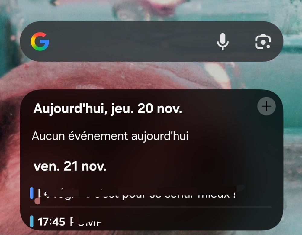 Capture d'ecran - Widget de calendrier