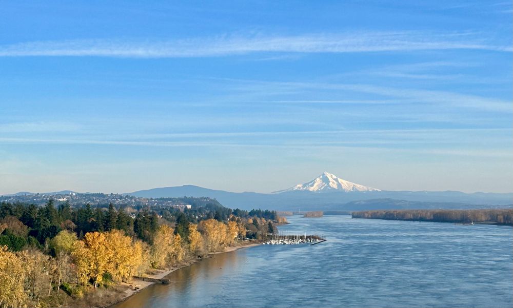 Blue sky with wispy linear clouds that meet a horizon with a prominent Mt. hood just offset to the right of center. In the foreground the Columbia River takes center stage, flanked to the left with a fading fall treescape of yellow leaves which have mostly fallen, some bare branches, and some evergreen trees are seen. There is also a thin slice of an empty shoreline with some docks and boats as a reminder of the summertime fun that graces the waters. ❤️