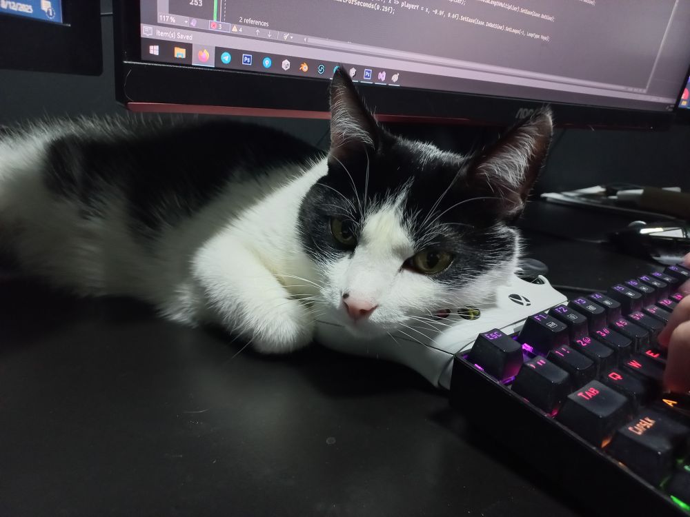 Another tuxedo cat leaning on a gamepad