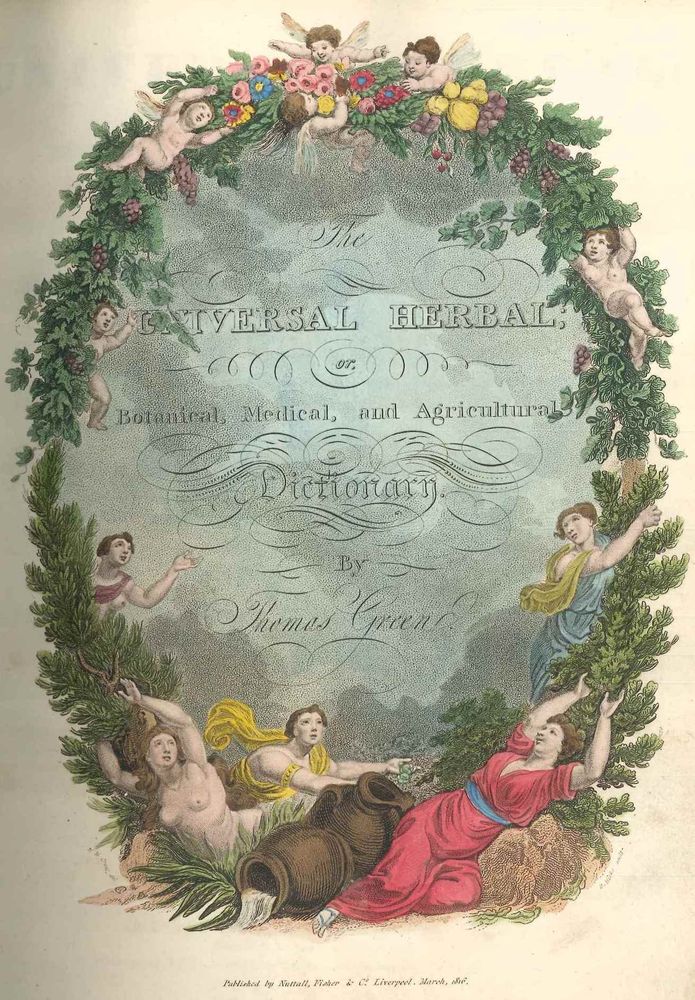 A coloured title page print which reads: 'THE UNIVERSAL HERBAL or Botanical, Medical and Agricultural Dictionary by Thomas Green'.  It is surrounded by a grapevine motif on the top with nymphs and cherubs playing and at the bottom with a rural idyll of workers relaxing amidst overflowing amphorae.