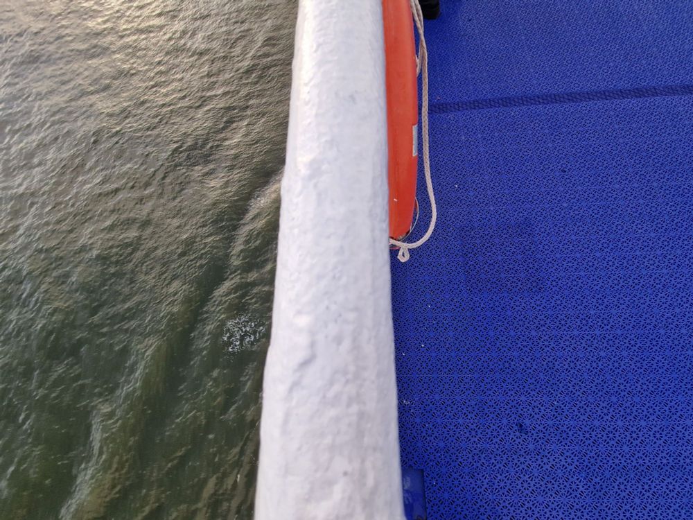 Bild zeigt links Wasser, in der Mitte die Bootreeling und einen orangen Rettungsring, rechts einen blauen Boden.