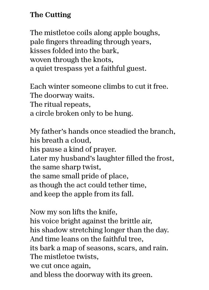 The Cutting 

The mistletoe coils along apple boughs,
pale fingers threading through years,
kisses folded into the bark,
woven through the knots,
a quiet trespass yet a faithful guest. 

Each winter someone climbs to cut it free.
The doorway waits.
The ritual repeats,
a circle broken only to be hung. 

My father’s hands once steadied the branch,
his breath a cloud,
his pause a kind of prayer.
Later my husband’s laughter filled the frost,
the same sharp twist,
the same small pride of place,
as though the act could tether time,
and keep the apple from its fall. 

Now my son lifts the knife,
his voice bright against the brittle air,
his shadow stretching longer than the day. 
And time leans on the faithful tree,
its bark a map of seasons, scars, and rain.
The mistletoe twists,
we cut once again, 
and bless the doorway with its green.

