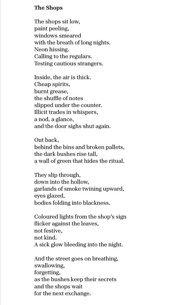 The Shops

The shops sit low,  
paint peeling,  
windows smeared 
with the breath of long nights.
Neon hissing. 
Calling to the regulars. 
Testing cautious strangers. 

Inside, the air is thick.
Cheap spirits,  
burnt grease,  
the shuffle of notes
slipped under the counter.  
Illicit trades in whispers,  
a nod, a glance,  
and the door sighs shut again.  

Out back,  
behind the bins and broken pallets,  
the dark bushes rise tall,  
a wall of green that hides the ritual.  

They slip through,  
down into the hollow, 
garlands of smoke twining upward,  
eyes glazed,  
bodies folding into blackness.

Coloured lights from the shop’s sign  
flicker against the leaves,  
not festive,  
not kind.
A sick glow bleeding into the night.  

And the street goes on breathing,
swallowing,
forgetting,
as the bushes keep their secrets
and the shops wait
for the next exchange.