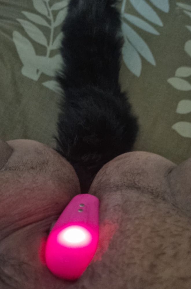 jonesy’s cunt with their lovense plus their butt plugged