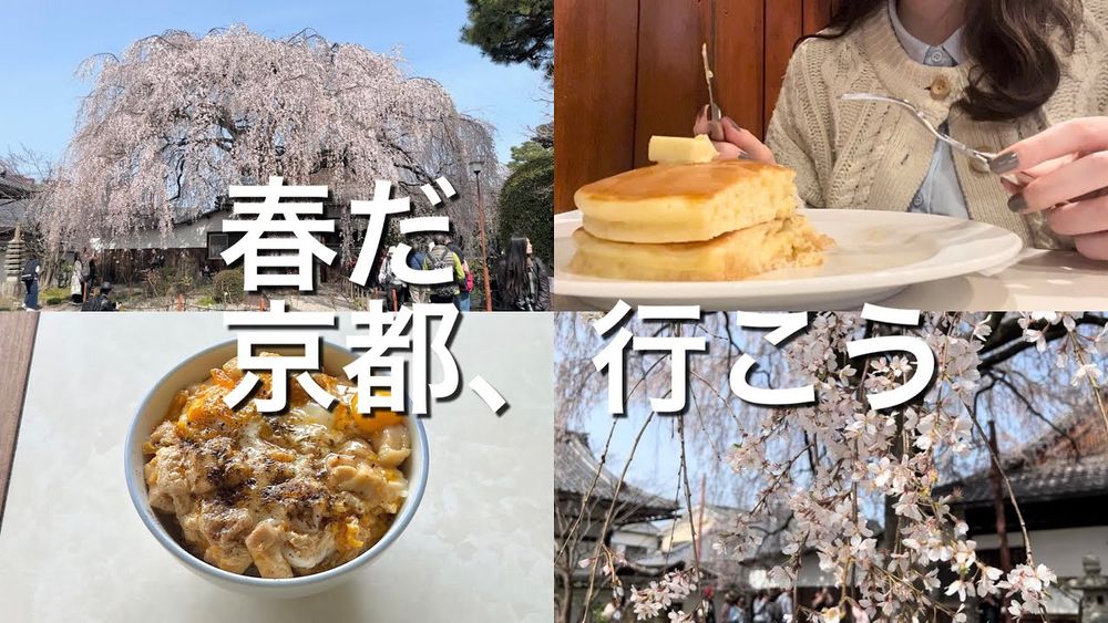 【女ひとり旅】春の京都旅🌸｜京都花見スポット｜グルメ・喫茶店｜桜の名所｜