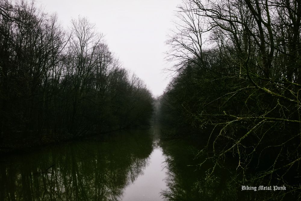 A calm river in a forest. On both sides of the water stand tall, bare trees without leaves, stretching to the horizon. The sky is cloudy and gray, the water greenish, creating a gloomy atmosphere. On the right, moss-covered branches protrude into the picture.