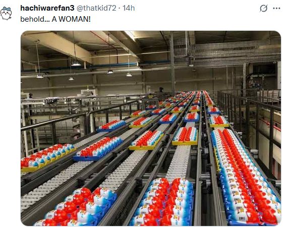 thatkid72 shares us the insides of a factory owned by Ferrero Holdings, which is also producing eggs