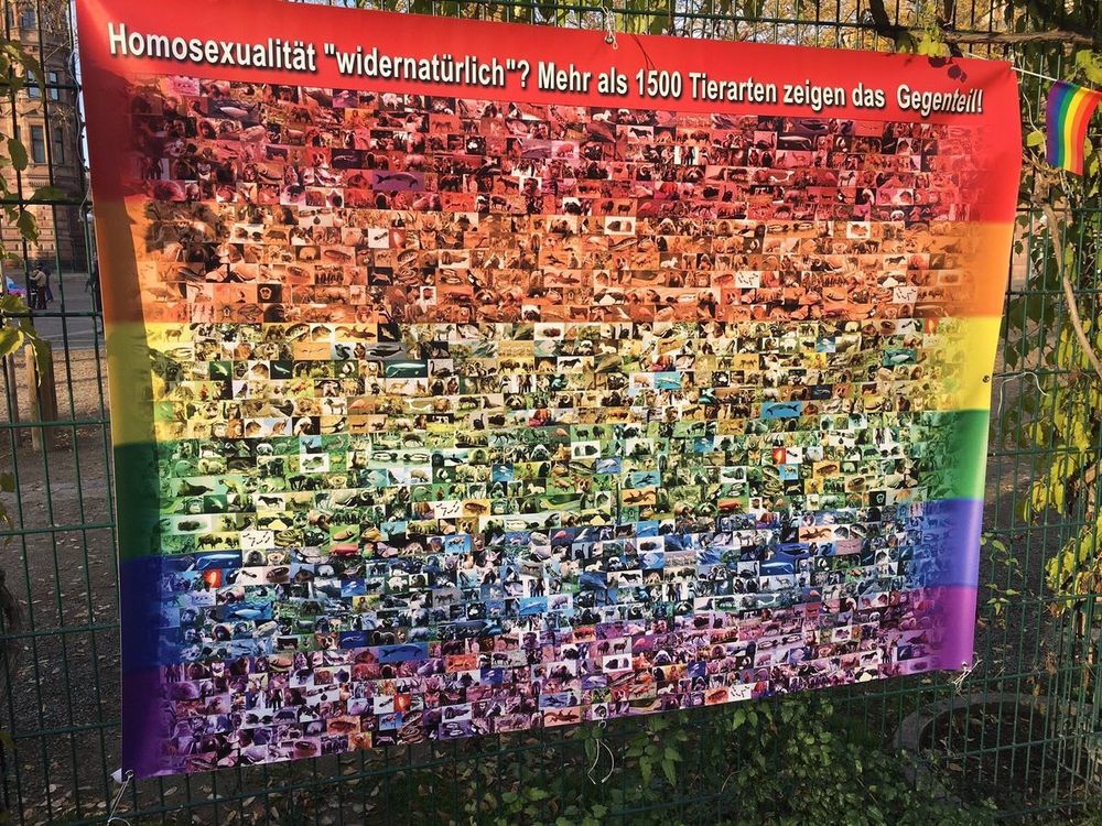 무지개 플래그 위에 “동성애가 부자연? 1500종 이상의 종이 아니라네요!”라고 독일어로 적혀있고 동물종의 사진이 붙어있다