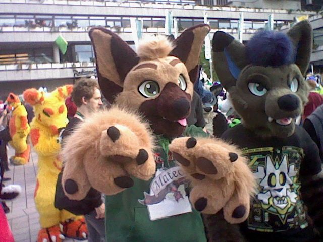 A german shephard pointing at the camera. A wolf is standing next to them.