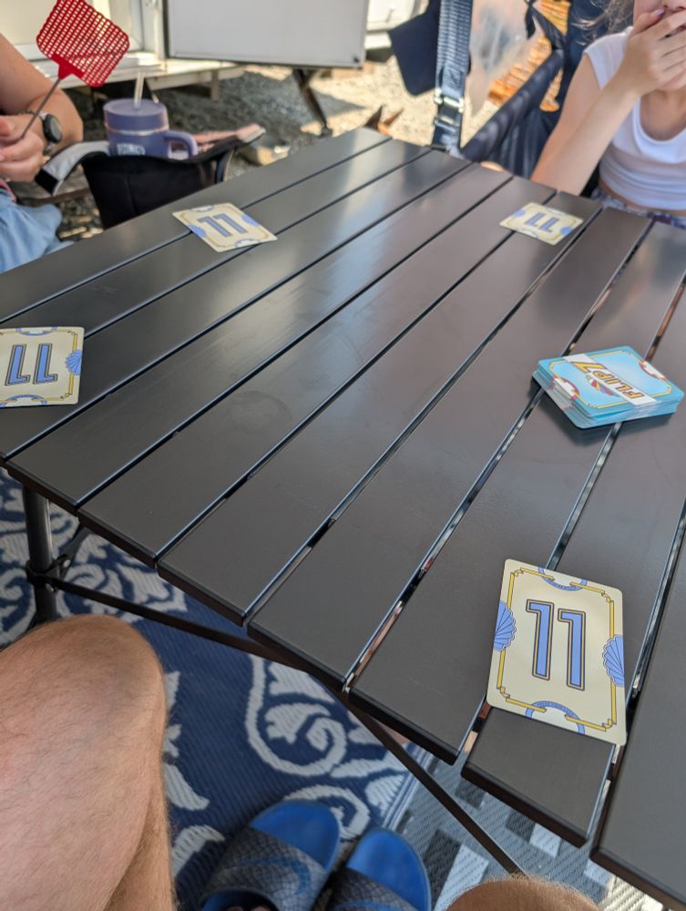 Flip 7 with everyone's first card being an 11