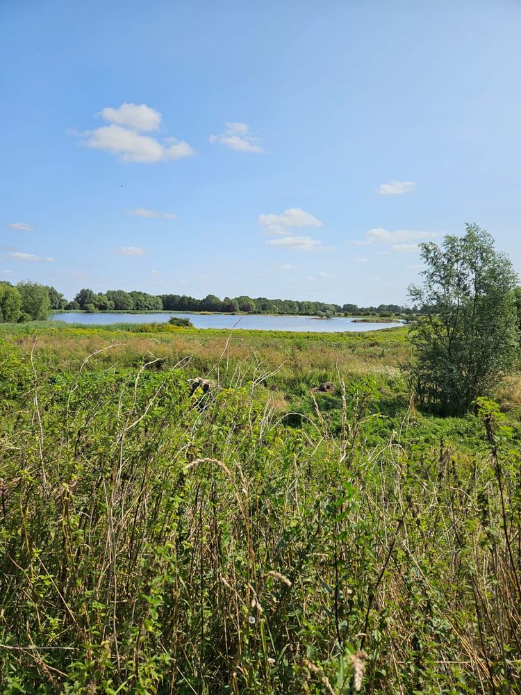 Meadows in the foreground, lake in the background under a blue sky at Kingfishers Bridge Nature Reserve. Photo by volunteer Andrea Fellowes.