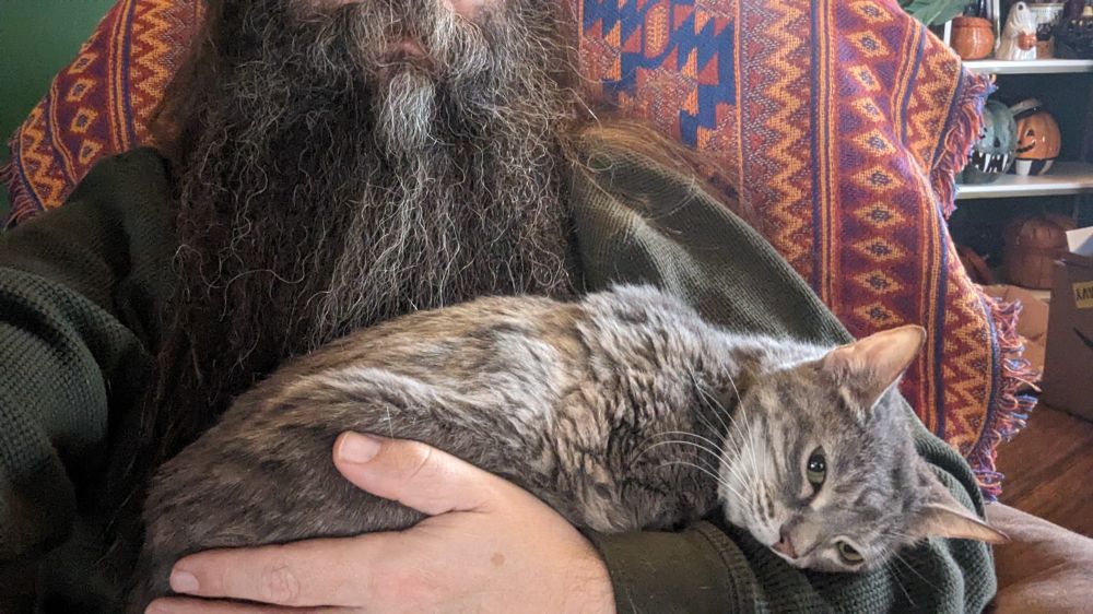 A bearded man holds the saddest kitty that ever was sad. She's a dilute tortie and has all her little feet tucked under my arm with her silly little head laid in the crook of my elbow.