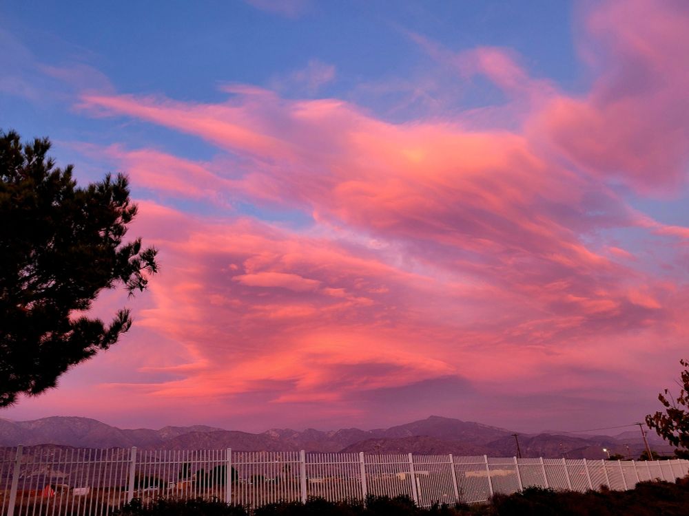 A tree and a long white fence under the pink and blue skies of Southern California.