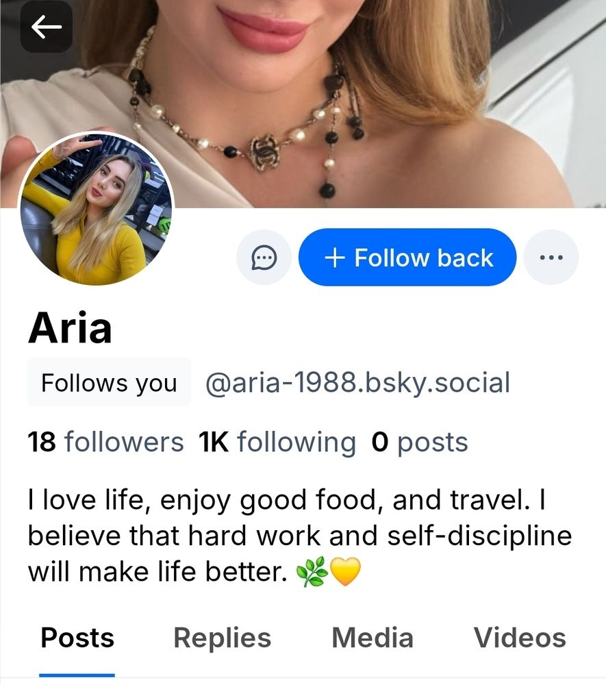 Bluesky profile of a bot.