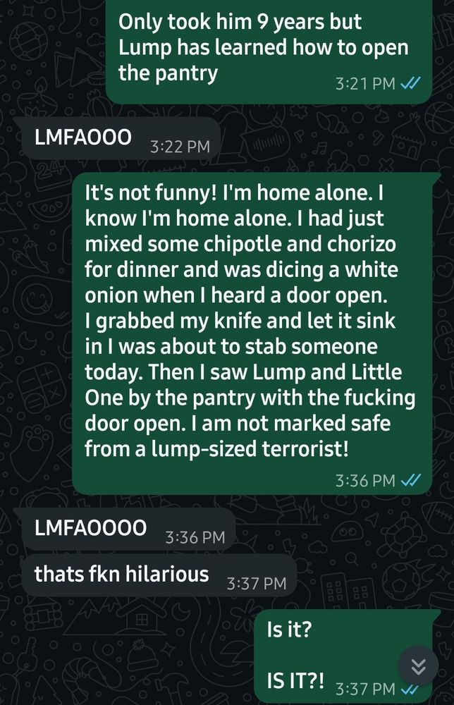 Text message chain that reads :

1st person :Only took him 9 years but Lump has learned how to open the pantry 

2nd person :LMFAOOO

1st person :It 's not funny !I 'm home alone .I know I 'm home alone .I had just mixed some chipotle and chorizo for dinner and was dicing a white onion when I heard a door open .I grabbed my knife and let it sink in I was about to stab someone today .Then I saw Lump and Little One by the pantry with the fucking door open .I am not marked safe from a lump -sized terrorist .

2nd person :LMFAOOO

2nd person :that 's fkn hilarious 

1st person :Is it?

IS IT?!