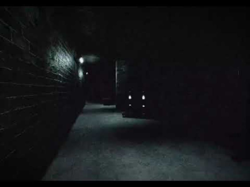 New Bunny CFC Teaser