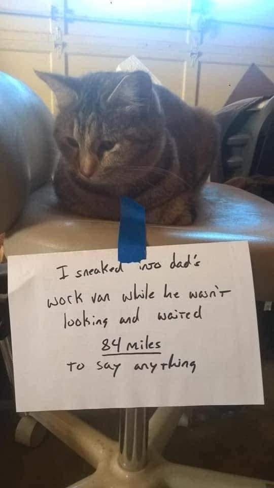 Sneaky sneaky