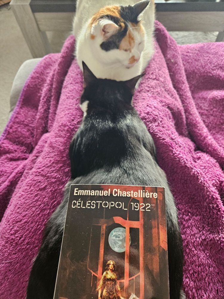 Lecture du livre Celestopol 1922 de Emmanuel Chastelliere,  en compagnie de 2 chats endormis, allongés sur mes jambes alors que je suis blottie sous un plaid violet