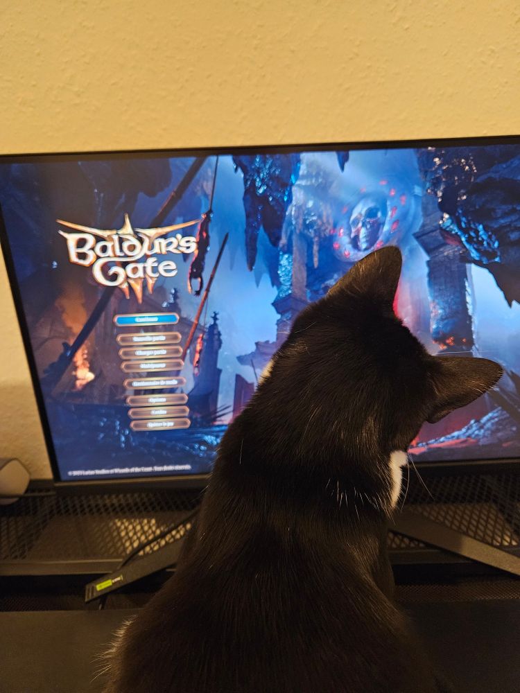 Écran d'accueil du jeu baldurs gate 3, mais avec un chaton devant qui regarde l'écran avec curiosité. Tout mimi, ma tête penchée genre "oh ça se mange la chauve souris la ?" 💜