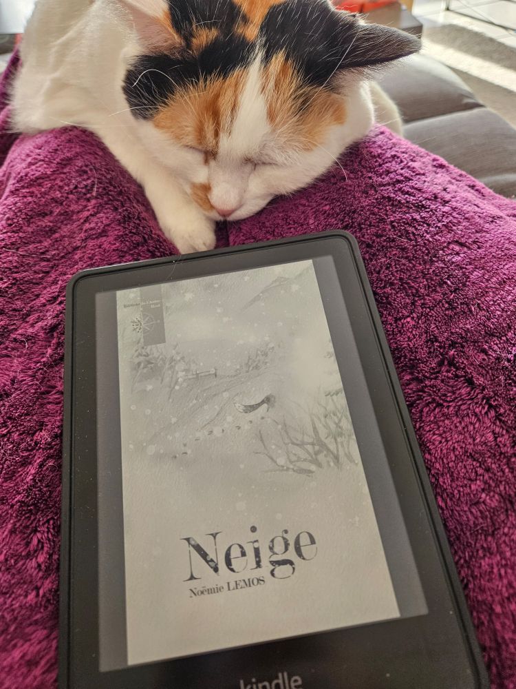 Le roman court Neige de Noemie Lemos, sur liseuse kindle.  Lu accompagnée de Noisette, chat tricolore qui dort confortablement sur un plaid violet tout chaud 