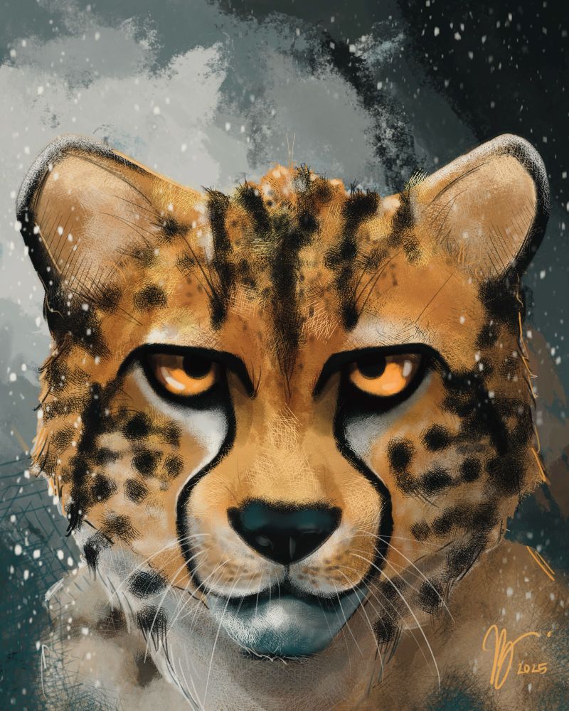 Illustration of a cheetah against a deep teal background as rain falls from the sky. I focused on texture and opted for hatch marks. No AI is ever used in my art. Enjoy!  