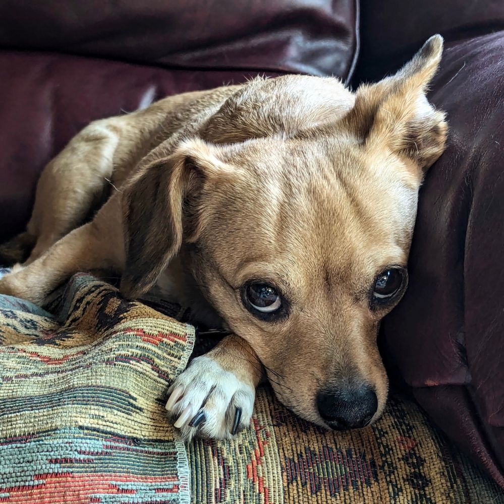 "$90,000 ...... Wow, that's a lot of cookies!"