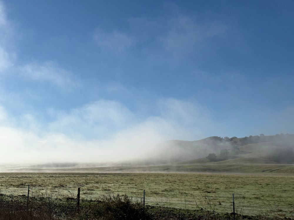 A landscape from the Cholame Valley, California. The top of the frame is blue sky and the bottom is pale green grass. In the middle, white mist curls around soft green hills. The mist highlights how there is a linear step down between the base of the hills and the field below - this is the San Andreas Fault.